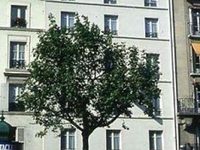 De Nantes