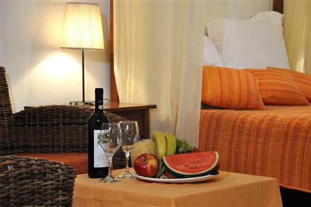 фото отеля Dionysos Hotel Ornos