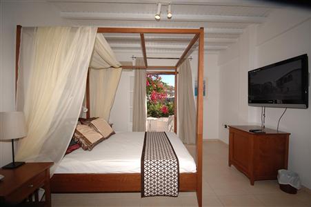 фото отеля Dionysos Hotel Ornos