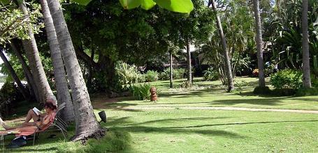 фото отеля Hotel Tamarindo Diria Beach & Golf Resort