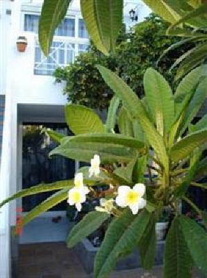фото отеля San Francisco Park Apartments Lanzarote