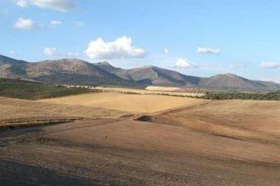 фото отеля Cortijo del Marques