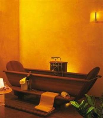 фото отеля Aktiv And Wellness Hotel Alpina Wagrain