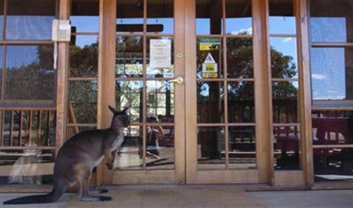 фото отеля Kangaroo Island Wilderness Retreat