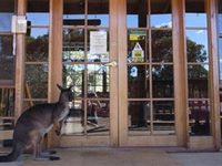Kangaroo Island Wilderness Retreat Kangaroo Island Wilderness Retreat