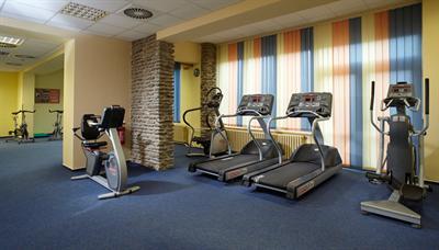 фото отеля Orea Wellness Hotel Horizont