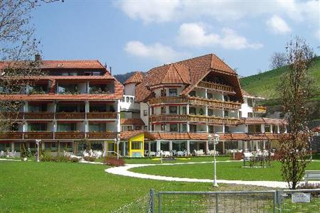фото отеля Hotel Ludinmuhle