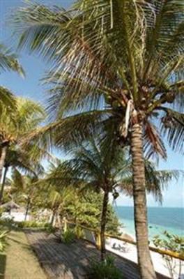 фото отеля Celuisma Maya Hotel Cancun