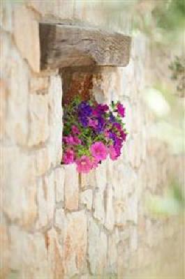 фото отеля Borgo Ritella