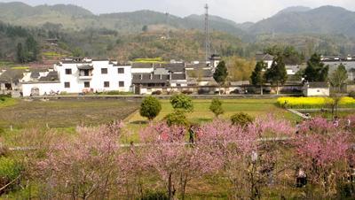 фото отеля Huangshan Xidi Travel Lodge