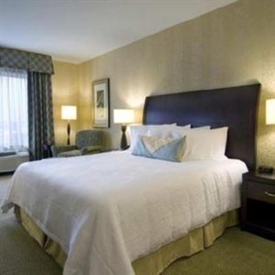фото отеля Hilton Garden Inn Detroit/Novi