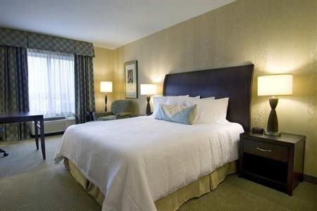 фото отеля Hilton Garden Inn Detroit/Novi