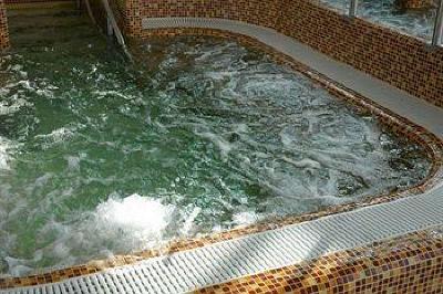 фото отеля Velence Resort & Spa