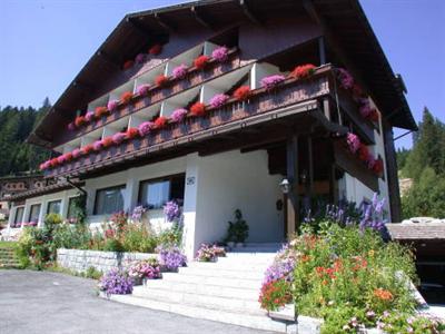 фото отеля Hotel Dahu Pinzolo