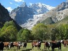 фото отеля Auberge De La Maison Hotel Courmayeur