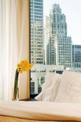 фото отеля Sheraton Chicago Hotel and Towers