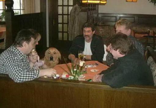 фото отеля Hunde Hotel Bergfried