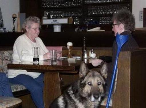 фото отеля Hunde Hotel Bergfried