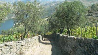 фото отеля Quinta De Santo Antonio Tabuaco