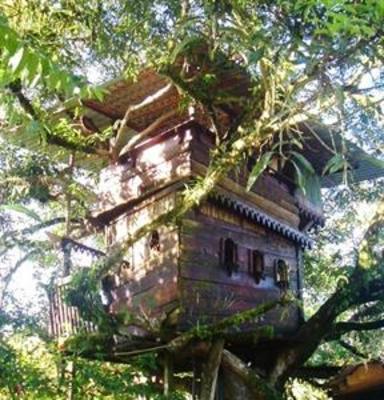 фото отеля Casa del Arbol