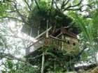 фото отеля Casa del Arbol