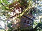 фото отеля Casa del Arbol