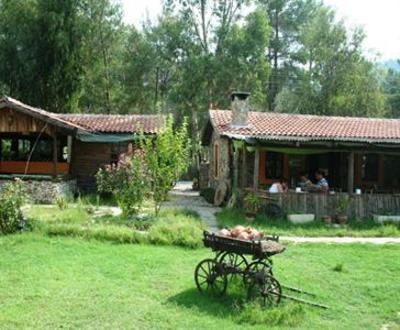 фото отеля Olympos Life Hotel