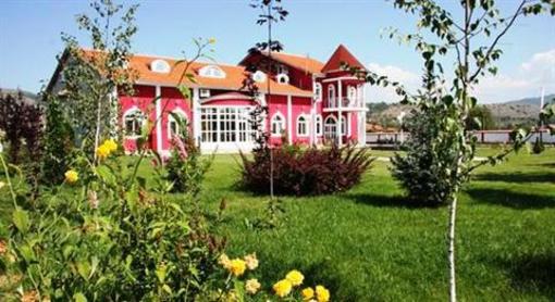 фото отеля Villa Dijana Pirot