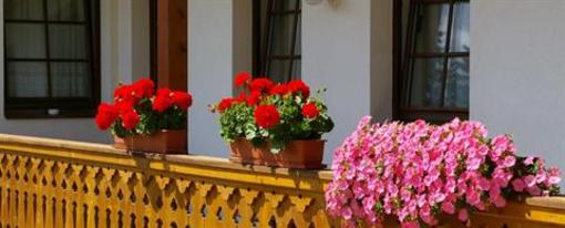 фото отеля Hotel Gasthof Gribelehof