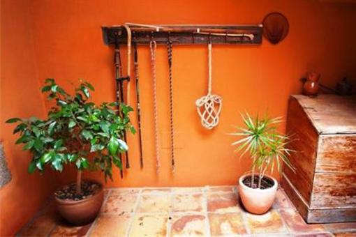фото отеля Finca Tajaste