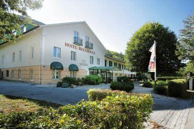 фото отеля Beethoven Hotel Hinterbruhl
