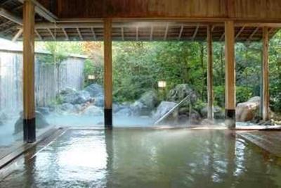 фото отеля Ryotei Hanzuiryo Inn Unzen