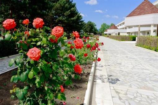 фото отеля Lastochka Resort
