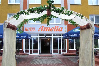 фото отеля Hotel Amelia