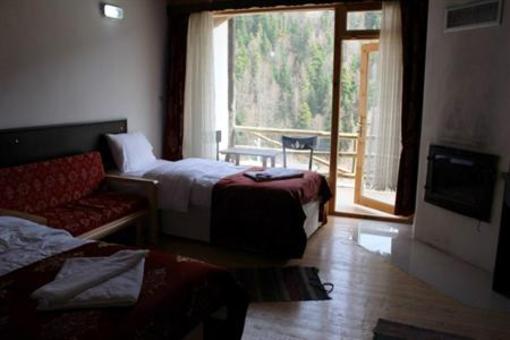фото отеля Abant Kartal Yuvasi Hotel