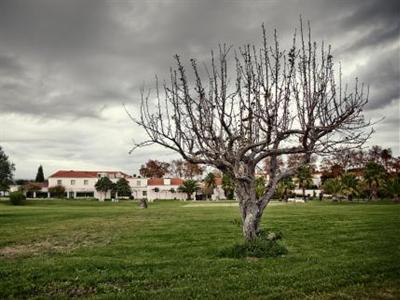 фото отеля Hotel Rural Club D Azeitao Setubal