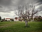 фото отеля Hotel Rural Club D Azeitao Setubal