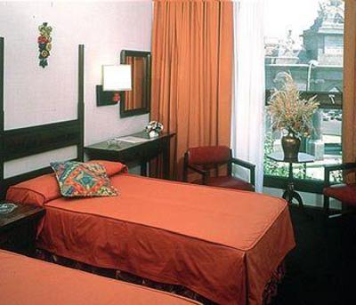 фото отеля Hotel Puerta de Toledo
