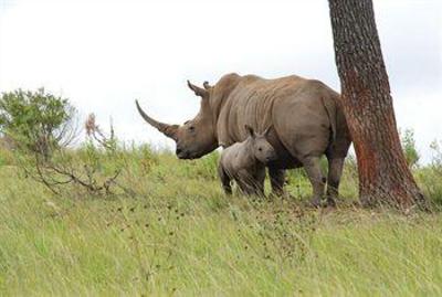 фото отеля Botlierskop Private Game Reserve