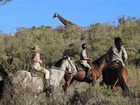 фото отеля Botlierskop Private Game Reserve