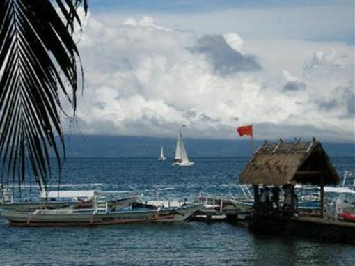 фото отеля El Galleon Beach Resort & Hotel