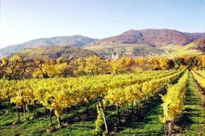 фото отеля BEST WESTERN Landhotel Wachau