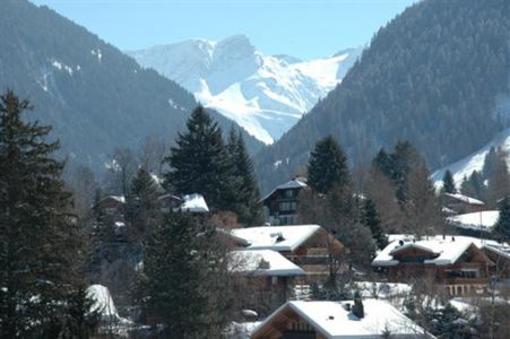 фото отеля Grand Hotel Park Gstaad