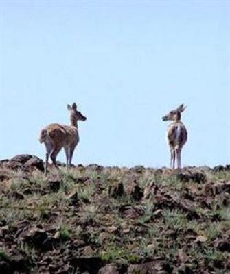 фото отеля Sani Pass Hotel & Leisure Resort