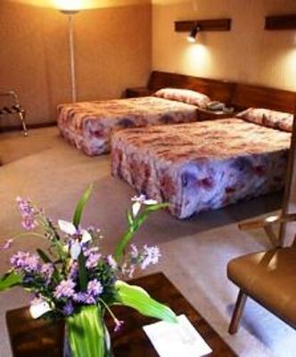 фото отеля Hotel Villa Tournon