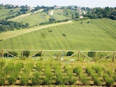 фото отеля Tenuta San Marcello