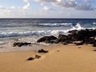 фото отеля Koloa Landing at Poipu Beach