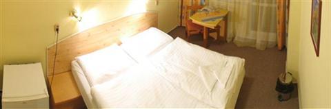 фото отеля Hotel Cingov Smizany