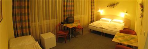 фото отеля Hotel Cingov Smizany