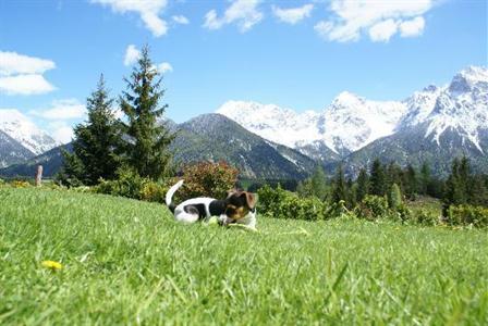 фото отеля Backeralm
